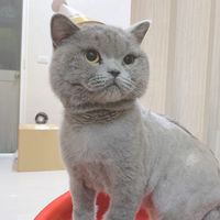 🐶🐱奴才逗陣來🙌🏻
