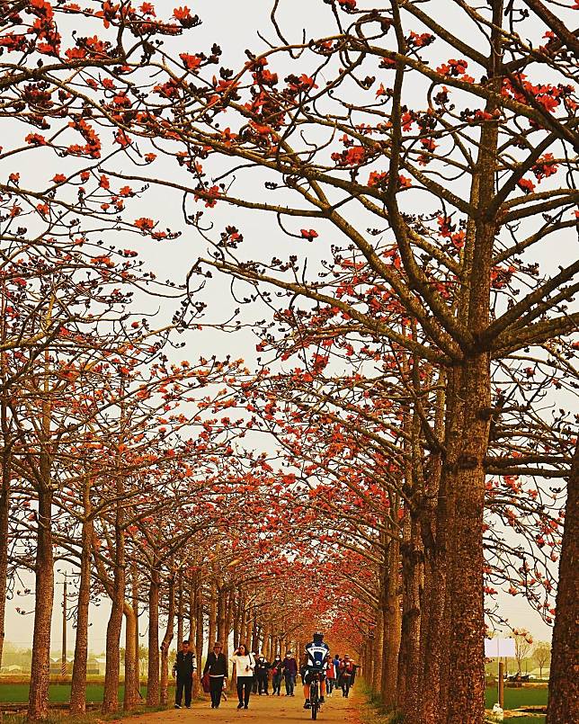 圖片來源：IG @ daphanelai