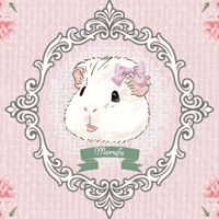 ·✧モルファーストの世界✧·