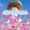 𝟬𝟯𝟭𝟬‐𝟬𝟯𝟭𝟰🇰🇷韓國連線⚡️巧巧Love💕蝦拼🛍️《沐晴小舖🌿》