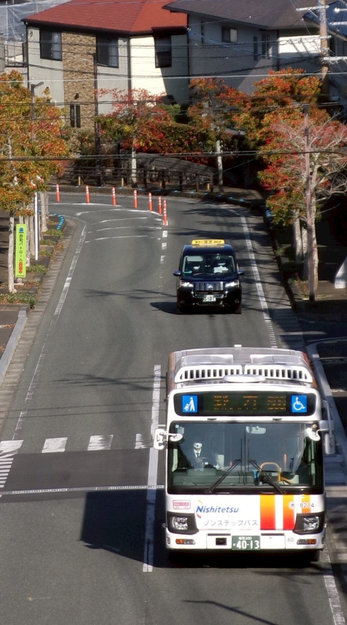 ［6TT］《HTO》【雑談OK】撮りバス集まれぇー‼️