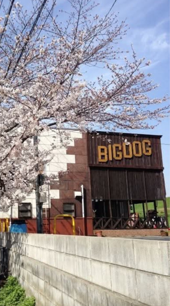 BIGDOG　淀川河川敷特別練習会