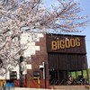 BIGDOG　淀川河川敷特別練習会
