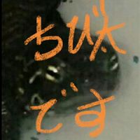 家の亀