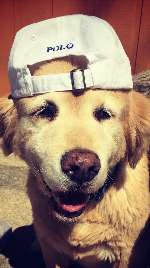 𓈒กลุ่มเคลม𝐴𝑀 ˳ 𝐻𝑦𝑝𝑒𝐻𝑜𝑠ℎ𝑖 ✧