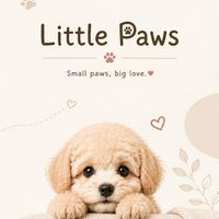 Little paws🐾🐶