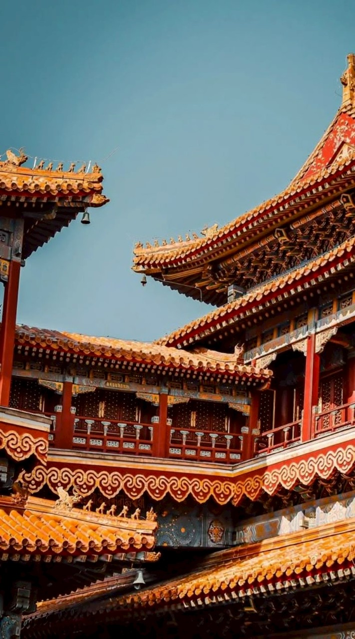 🐉༺♛⚜บัลลังก์รักแห่งต้าเยว่⚜♛༻⚔𝐂𝐫𝐨𝐰𝐧 𝐁𝐞𝐧𝐞𝐚𝐭𝐡 𝐓𝐡𝐞 𝐌𝐨𝐨𝐧🌙