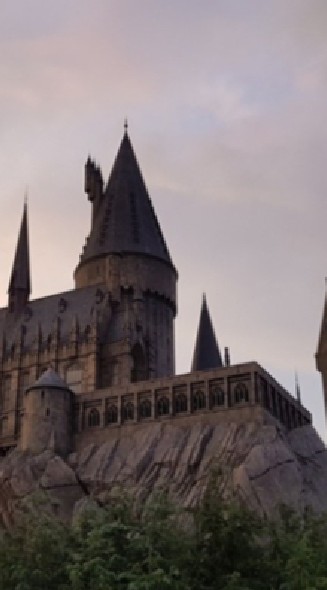 Hogwarts in fiction🏰🔮🧹📚🗞️