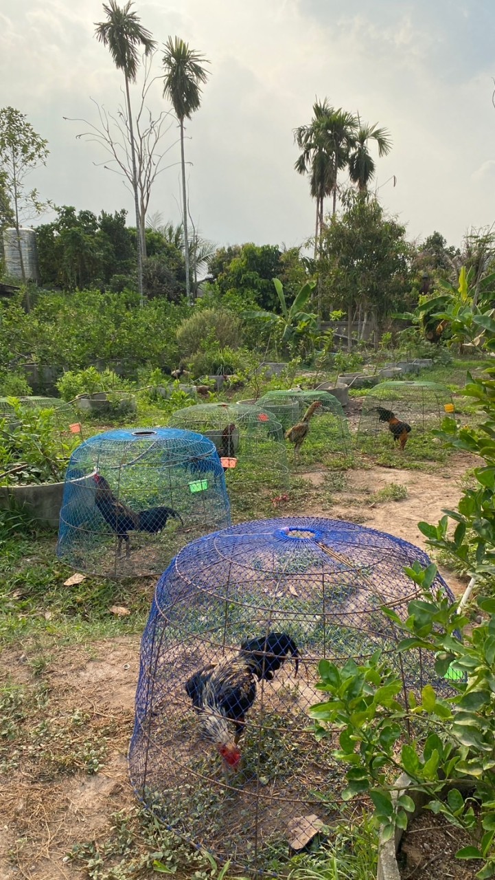 ซุ้ม ว.วีรภัทร💯🐓