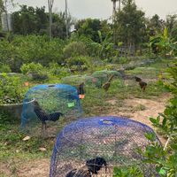 ซุ้ม ว.วีรภัทร💯🐓