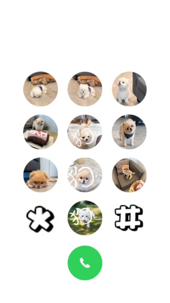 聊聊可愛的小動物們吧！
