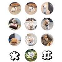 聊聊可愛的小動物們吧！