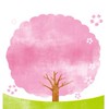 【静岡】お花見＆開花情報🌸写真＆スポット/ 桜 さくら 梅 ウメ 春