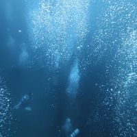 潛水環遊全世界（也技術潛水）歡迎大家一起來玩