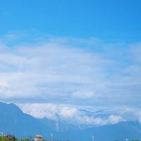 許氏宗親會