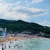 2023泳渡同好互助交流平台
