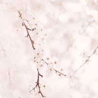 教育・子育てゼミナールオープンチャット
