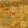 以閃亮之名-小咘遊戲群