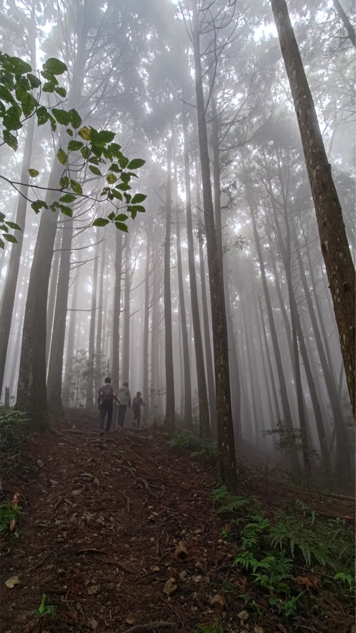 超人氣爬山登山團