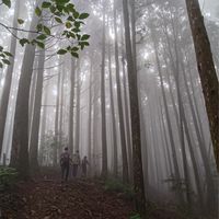 超人氣爬山登山團