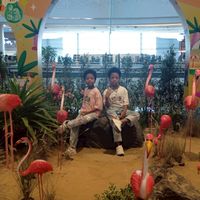 ลินาพาแสบ