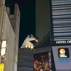 9/19-9/26東京連線代購