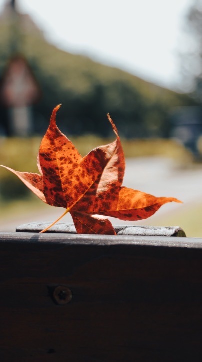 提袋猫手沖咖啡課程「慢煮時光｜咖啡與陶瓷的對話」峯陶藝