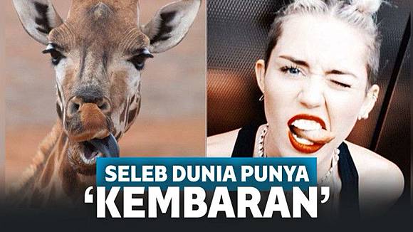 10 Selebriti Dunia Ini Punya Wajah Yang Mirip Dengan Hewan