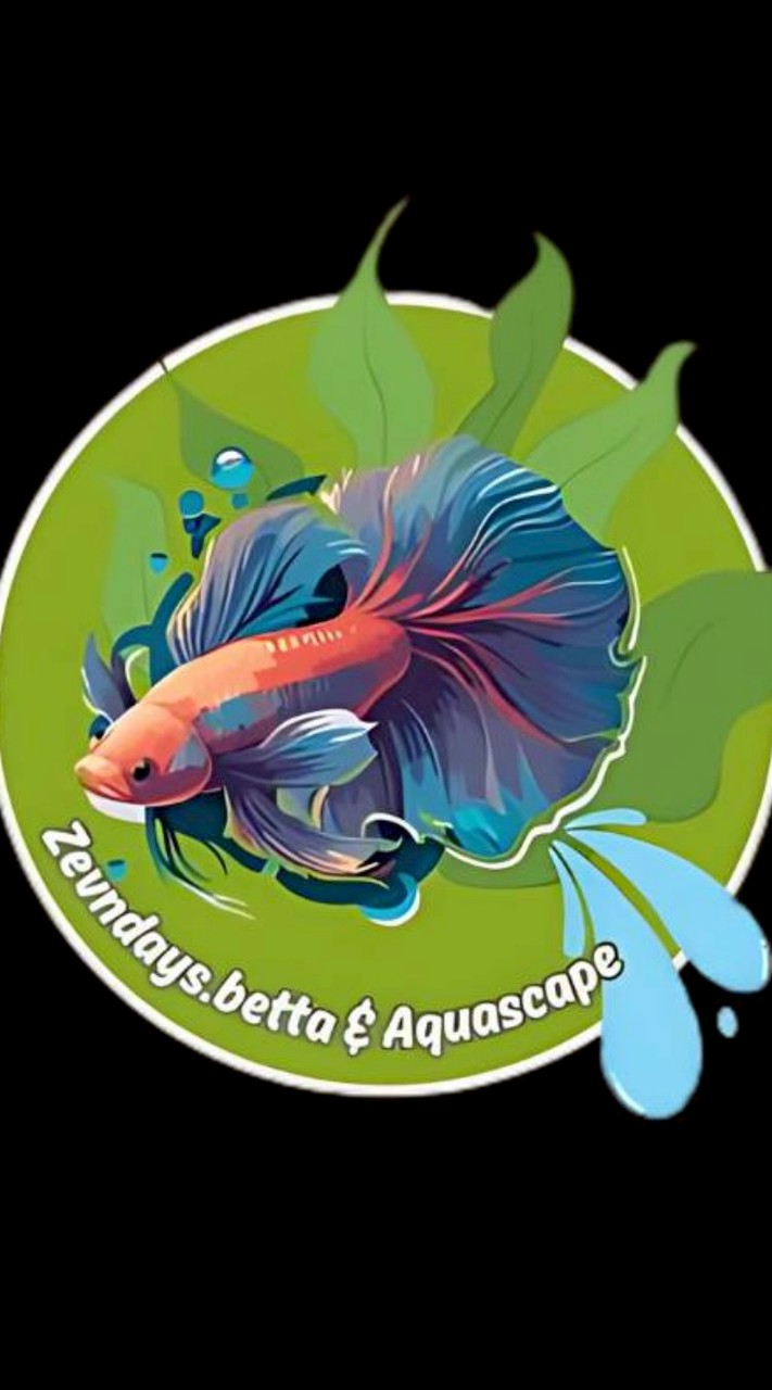 Zevndays betta farm