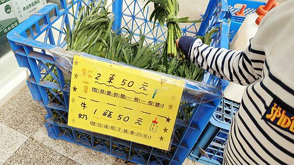 【彰化景點】大山休閒牧場-免門票費免停車費，還有餵牛喝奶、吃草等超多好玩的親子農場