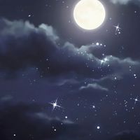 ( Role ) โรงเรียนซินเทียร์🌜🏫