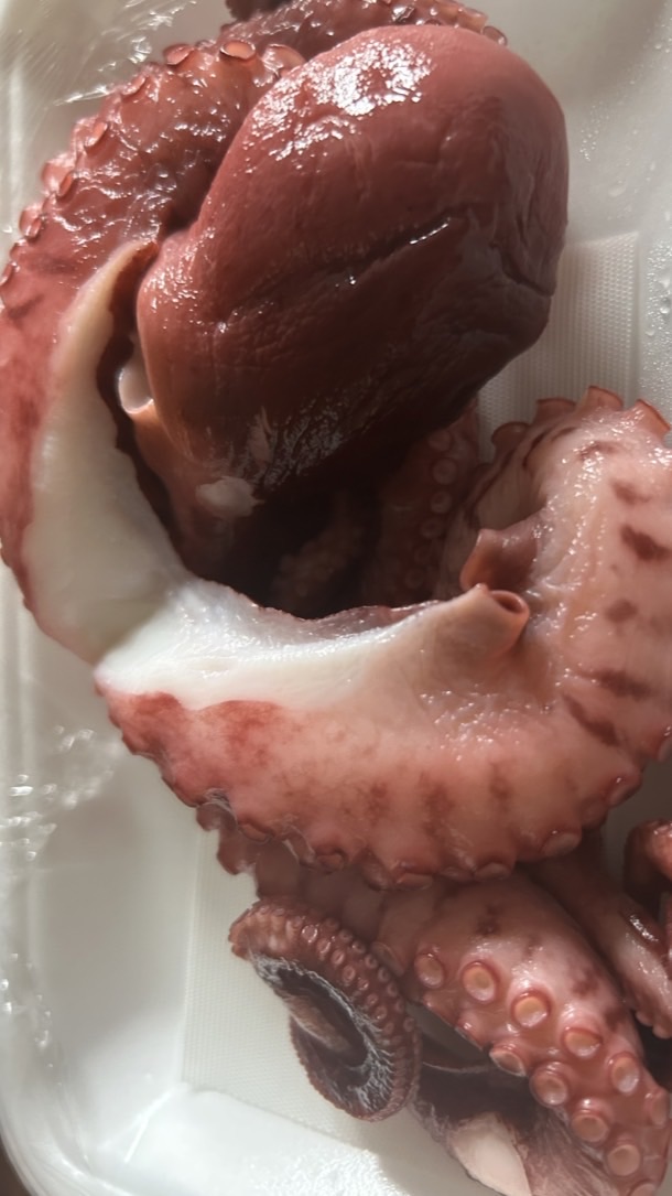 ピングーをタコにする所(他禁止)