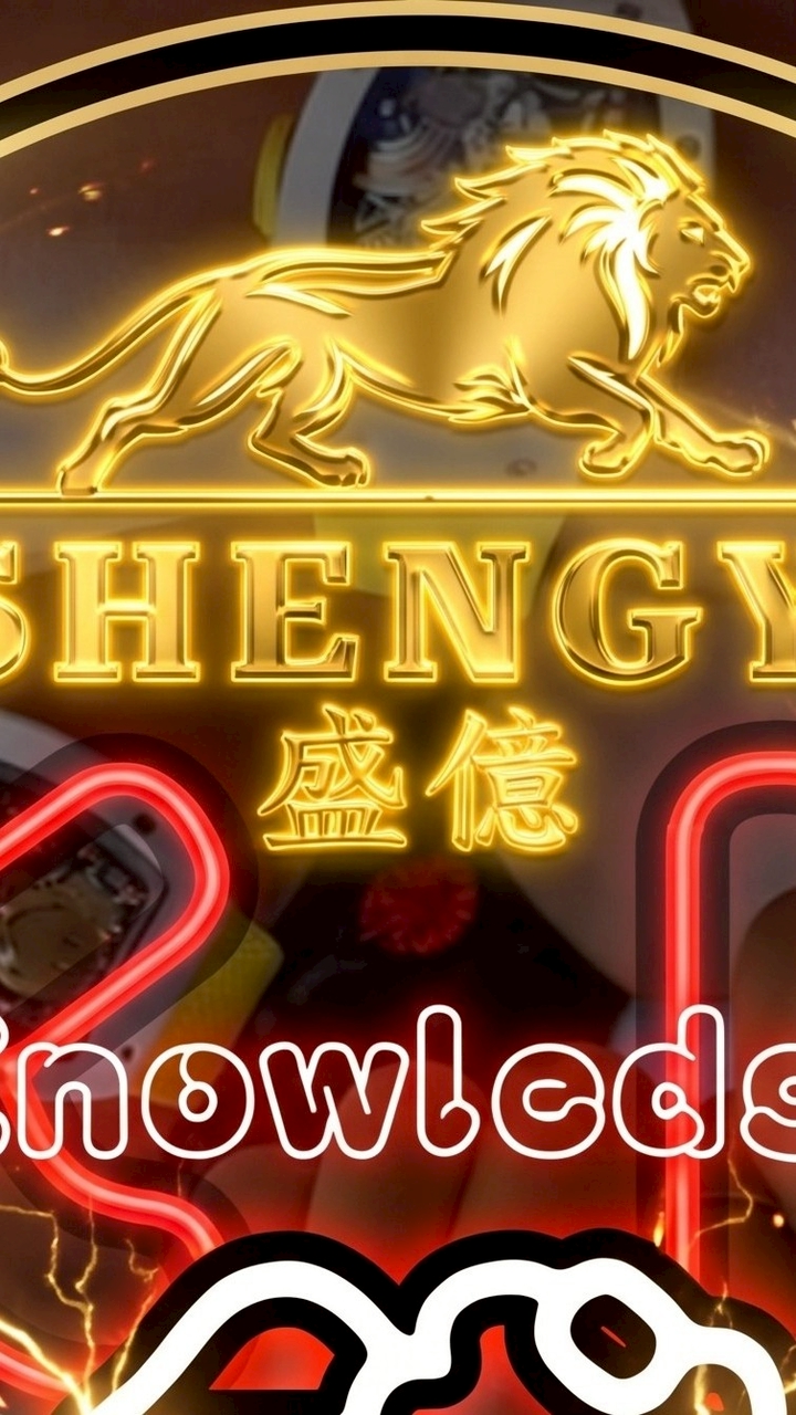 盛億 搞錢vvip