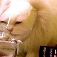 ผี
