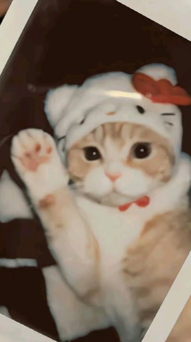 剪輯群～🧸