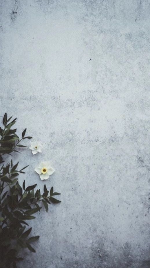 海海人生