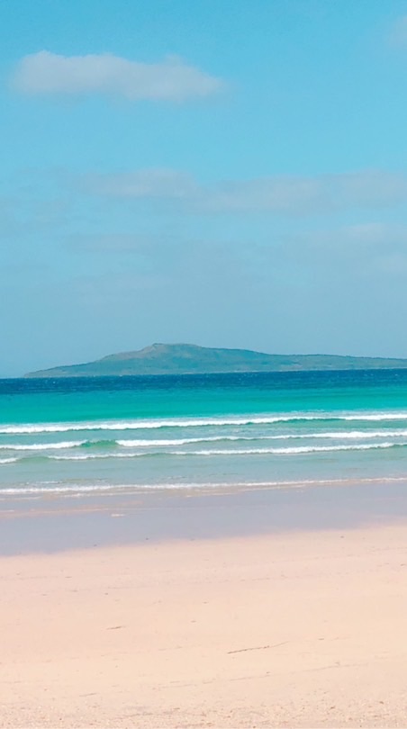 みょんみょん村