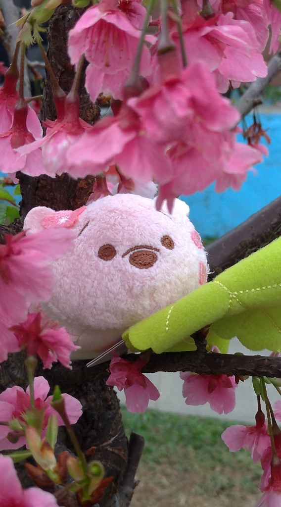 Poohfavor維尼樂鋪