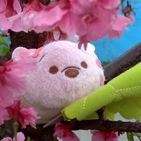 Poohfavor維尼樂鋪