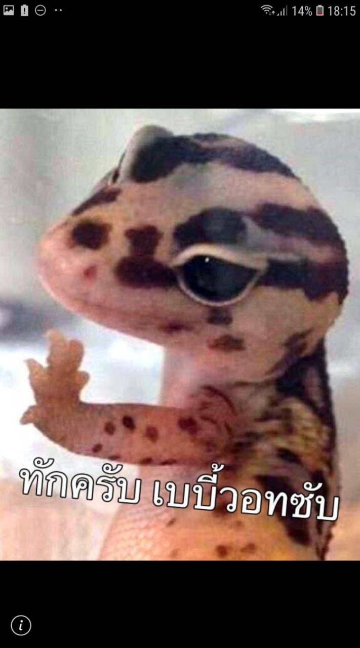 Cused tank simulator thai