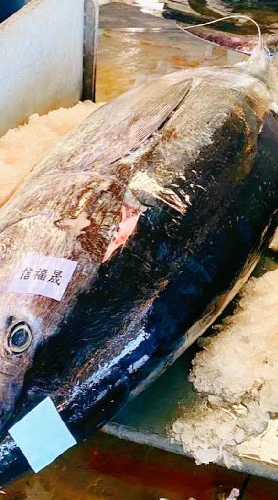 海鮮島之屋/小龍水產市場