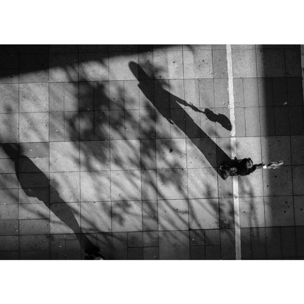 一本由古典音樂和文學譜成的商業小說