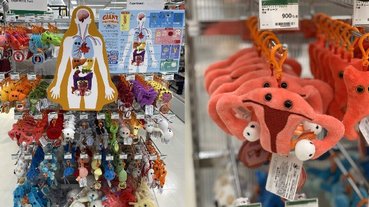 超魔性！日本商家販售「人類全身器官」娃娃獵奇到爆紅，首先你需要一個腦子嗎？