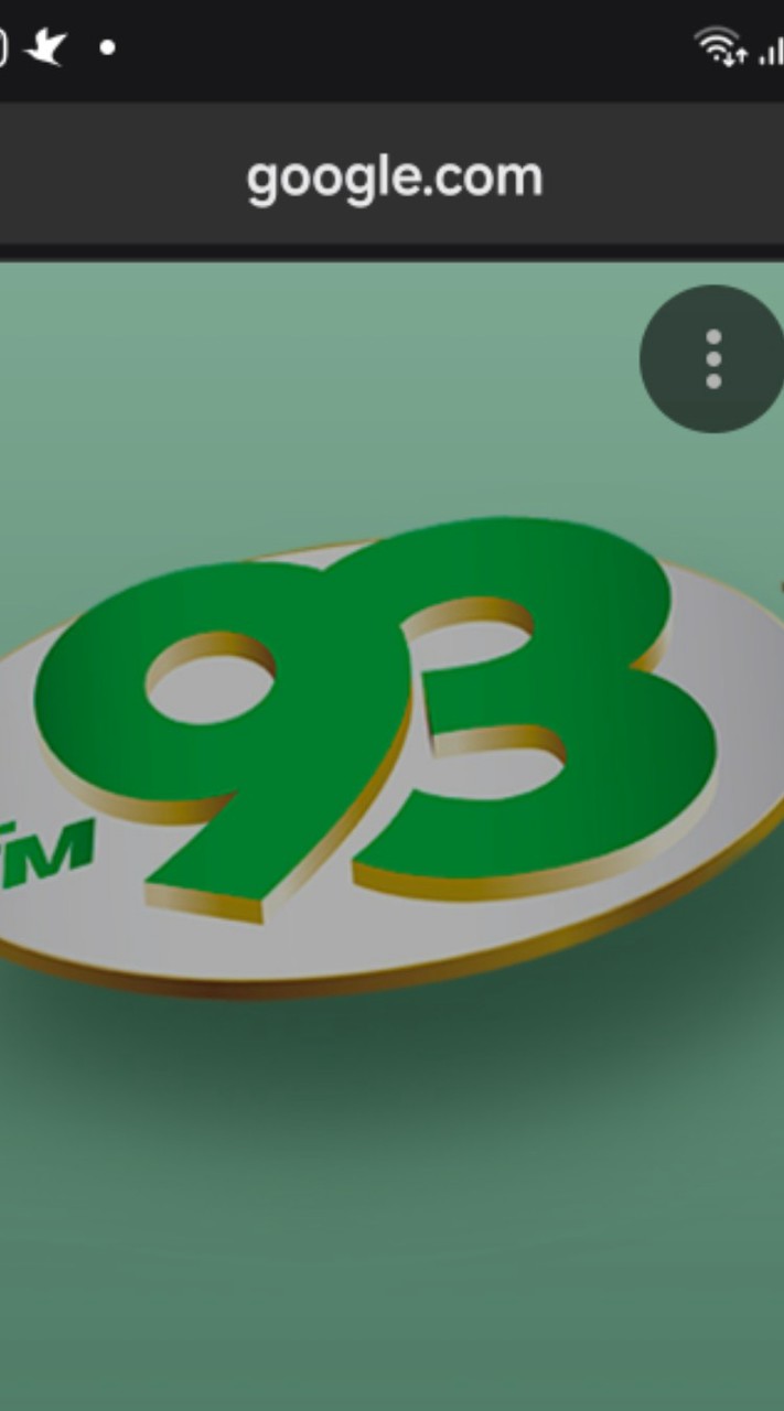 531/93