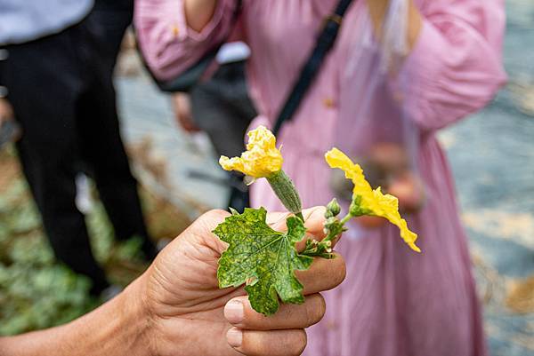 【日月潭一日遊】南投頭社活盆地農村美食餐桌與休閒農場-體驗不一樣的在地食材美味佳餚與獨特河道獨木舟體驗