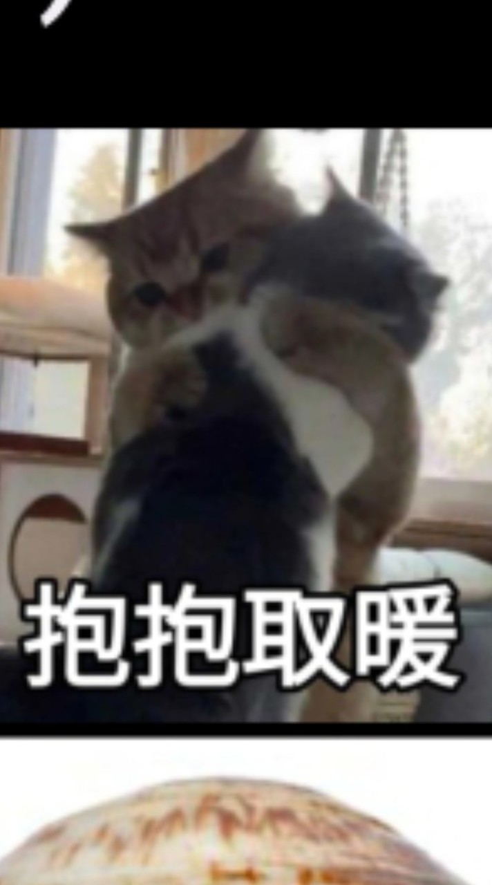 i呀伊呀o！愛的抱抱