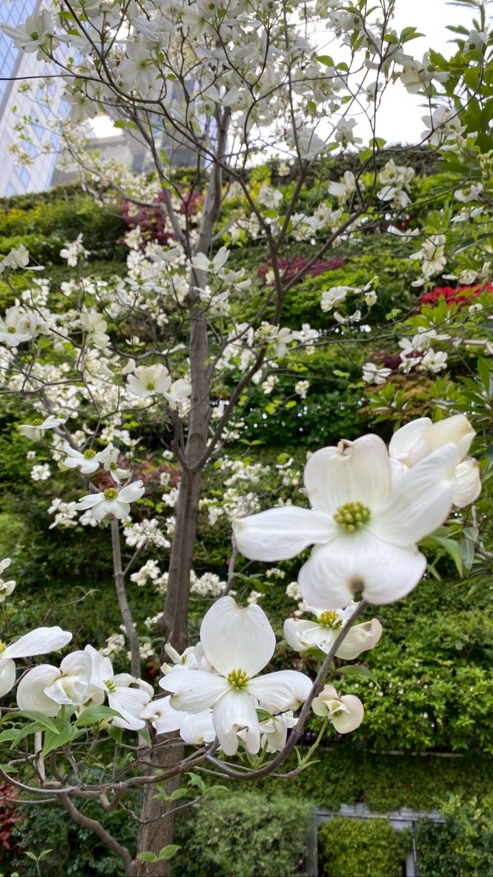 年金・一人暮らし🍀女性限定
