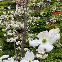 年金・一人暮らし🍀女性限定