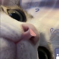 周周粉絲後援會