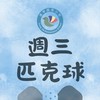逢甲匹克球